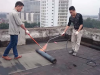 Màng chống thấm tự dính giá rẻ tại Long An