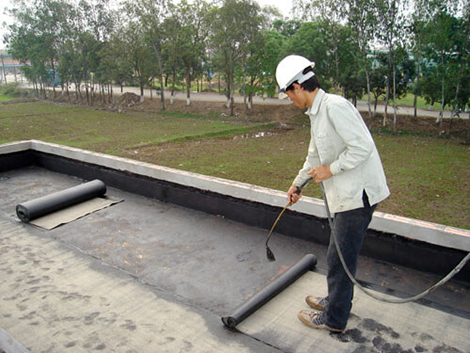 màng chống thấm giá rẻ